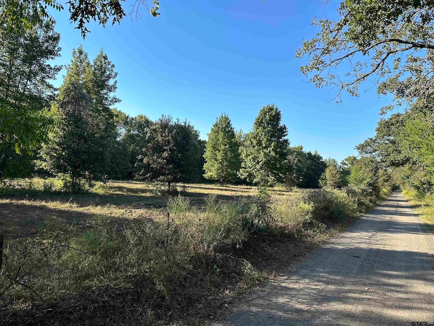 TBD County Road 3701, Murchison, TX 75778 - photo 1