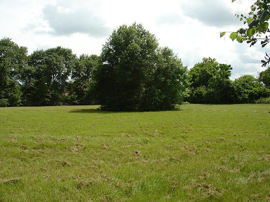 1922 Mills Main Fields Store, Waller, TX 77484 - photo 1
