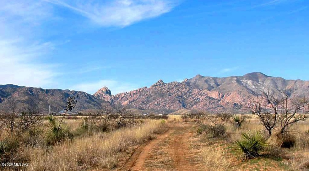 1 lot on Justin & Sherwood (9)