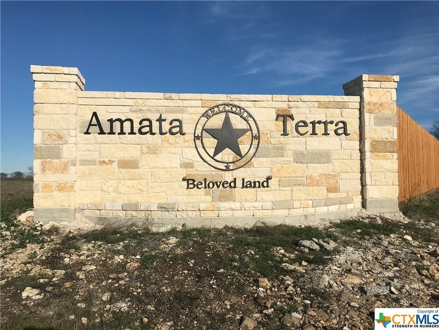 8339 Torrente Dr, Temple, TX 76504 - photo 1