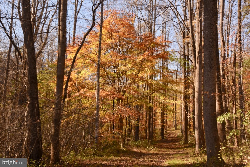 0 Bessie Bell Mountain Rd unit VARP107660, Castleton, VA 22716 - photo 1