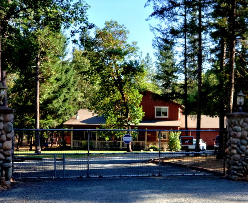 20200722_142416