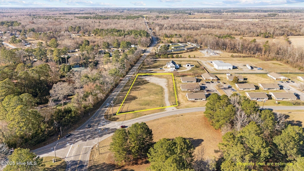 St Andrew lot - primary