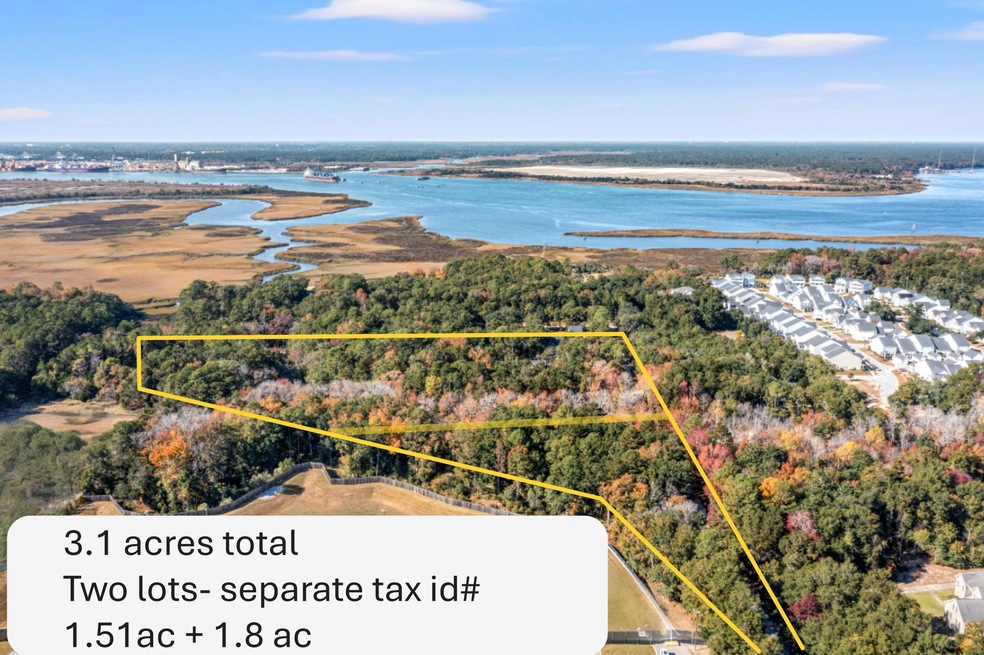 0 Yellow House Place unit 25031109, Cainhoy, SC 29492 - photo 1