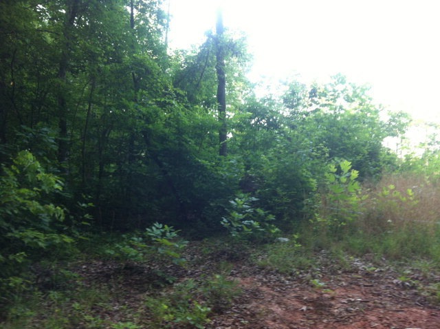 0 Park Ave, Victoria, VA 23974 - photo 1