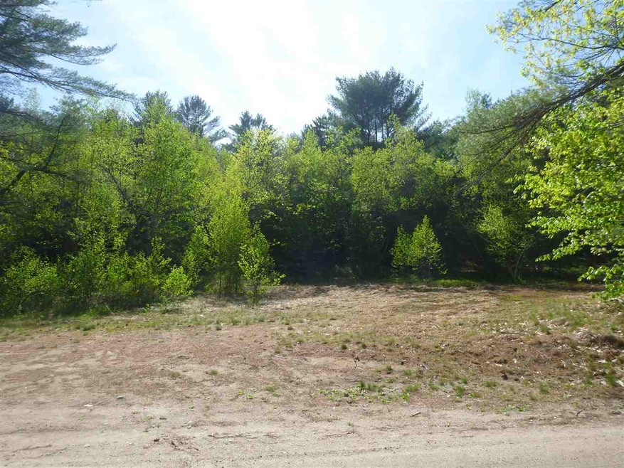 00 Molly Philbrick Rd, Effingham, NH 03882 - photo 1