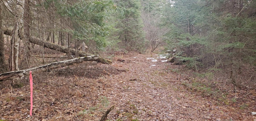 0 Under the Mountain Rd unit 1 4905343, Lyman, NH 03585 - photo 1