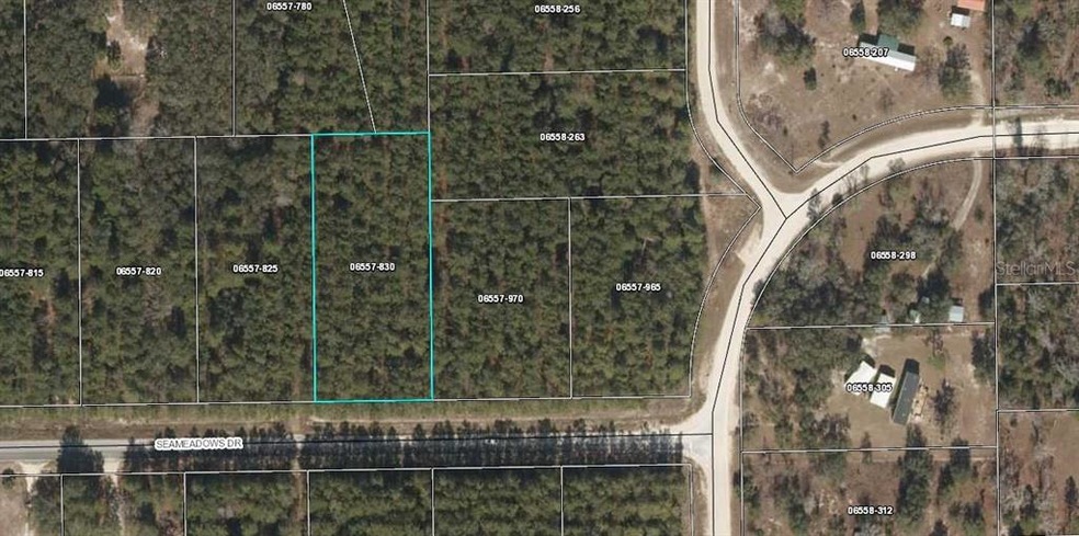 0 Seameadows Dr unit A4509741, Perry, FL 32348 - photo 1