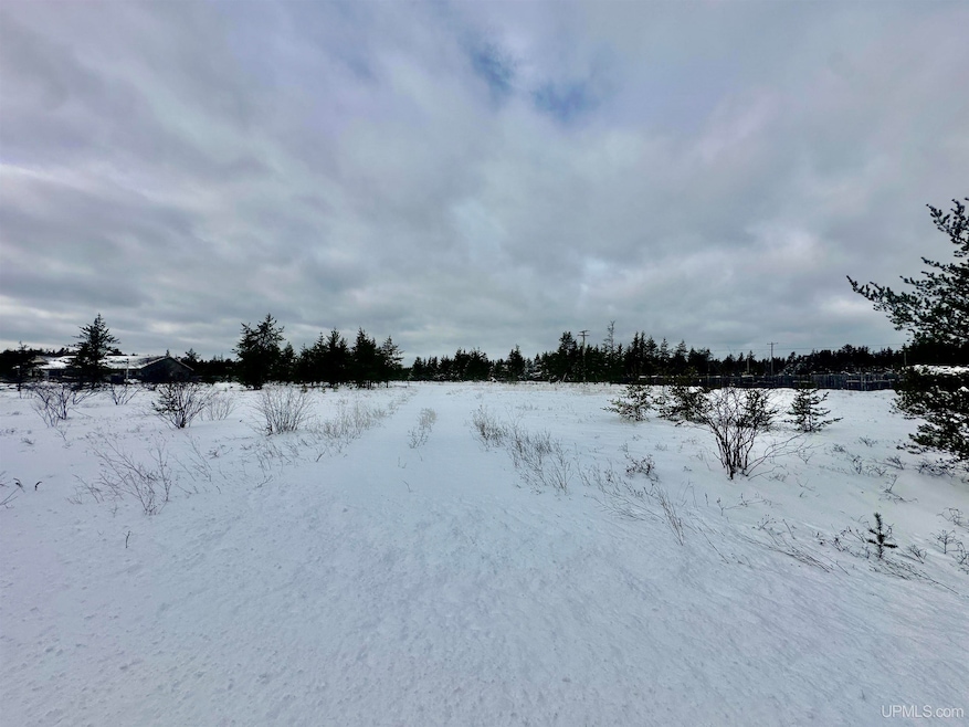 TBD Airfield Rd, Gwinn, MI 49841 - photo 1