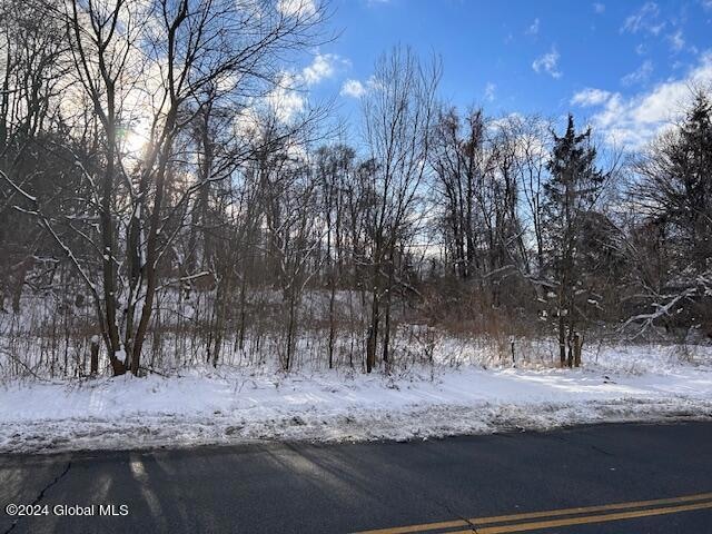 60 Cheltingham Ave, Schenectady, NY 12306 - photo 1