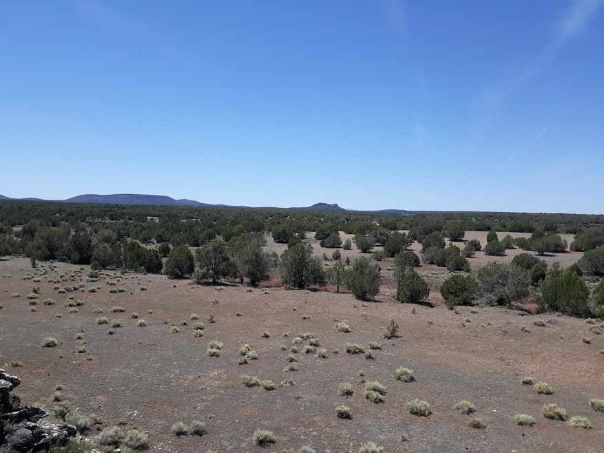 Lot 390 Unit 4 Juniperwood Ranch, Ash Fork, AZ 86320 - photo 1
