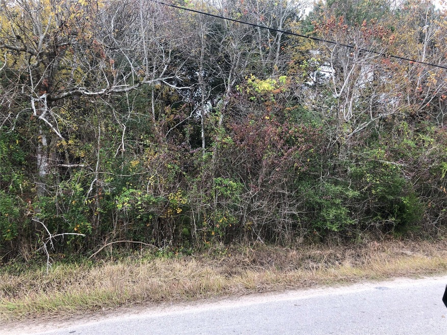 0 Rymal, Alvin, TX 77511 - photo 1