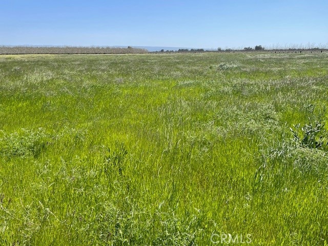 0 El Camino Ave unit SN25085704, Gerber, CA 96035 - photo 1