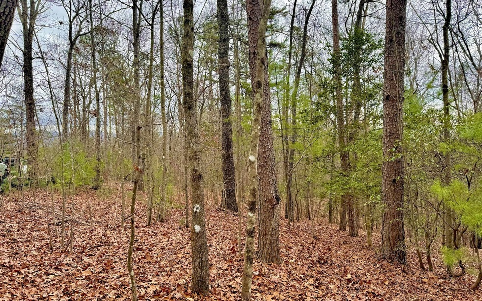 2.5AC Loy St, Ellijay, GA 30540 - photo 1