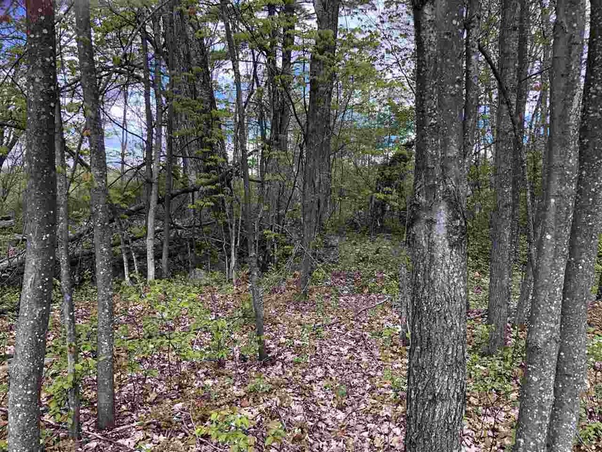 314 Dover Rd, Chichester, NH 03258 - photo 1