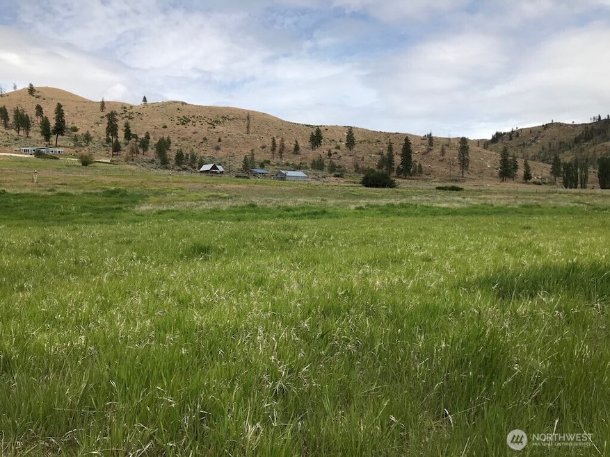 0 Antoine Creek Rd unit NWM2459511, Chelan, WA 98816 - photo 1