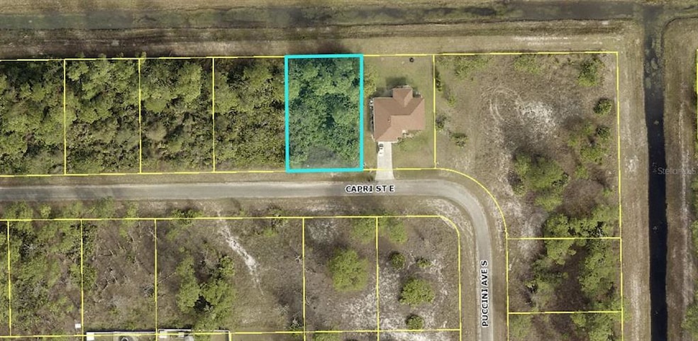 1119 Capri St E, Lehigh Acres, FL 33974 - photo 1