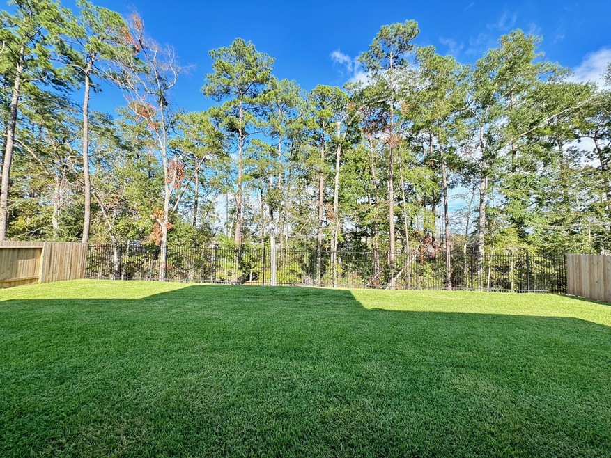 13658 Balanced Rock Dr, Conroe, TX 77384 - photo 1