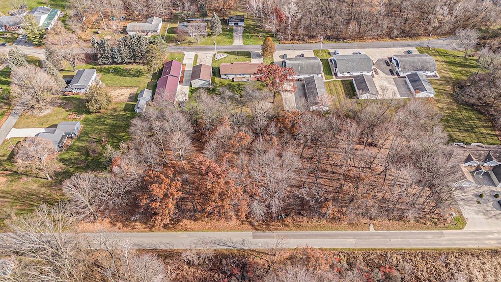 Lots 1-3 S Sherman St, Sheridan, MI 48884 - photo 1