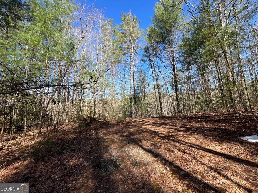 LOT 268 Cajun Ln unit 268, Ellijay, GA 30540 - photo 1