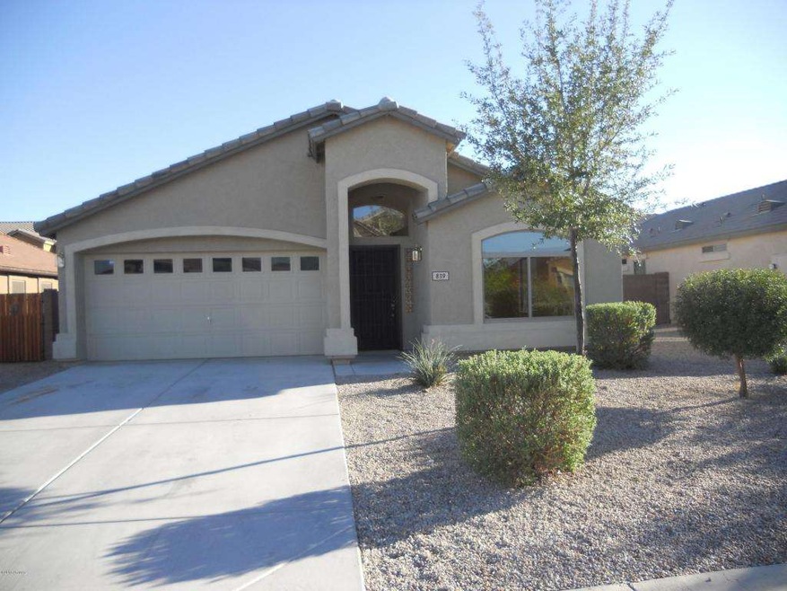 Mesquite Tree 001