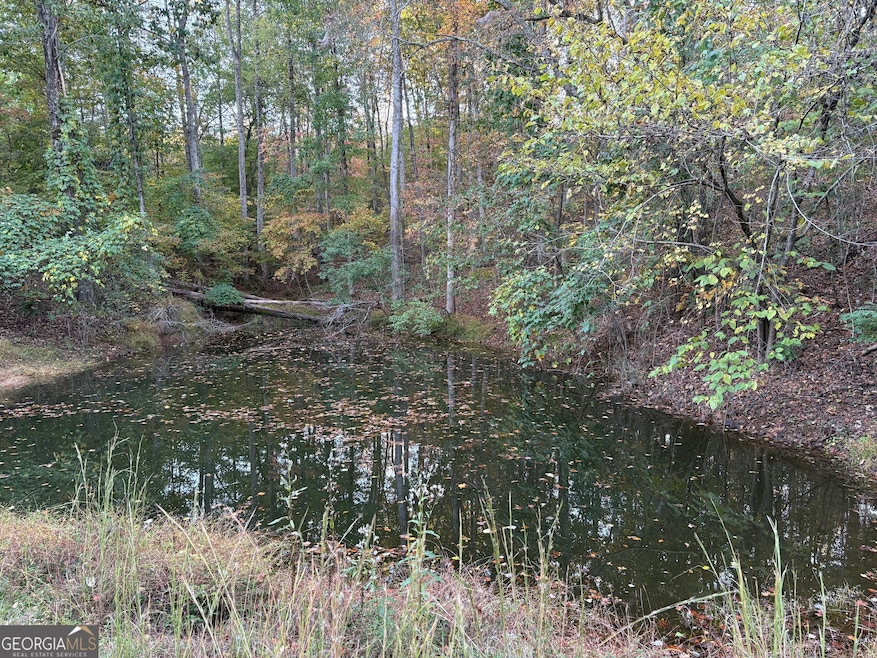Pond on Property
