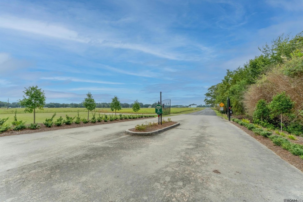 16 Buddy Gore Rd, Gonzales, LA 70737 - photo 1