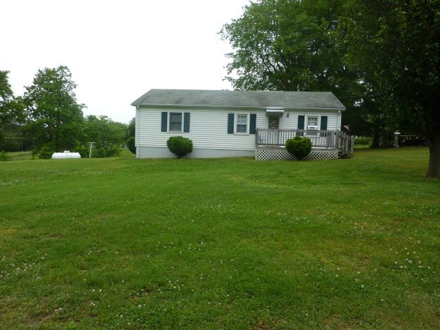 Main View