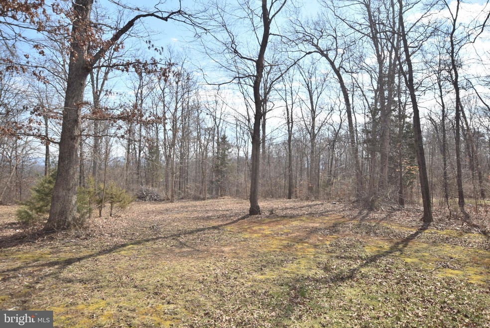 246 Lower View Rd, Strasburg, VA 22657 - photo 1