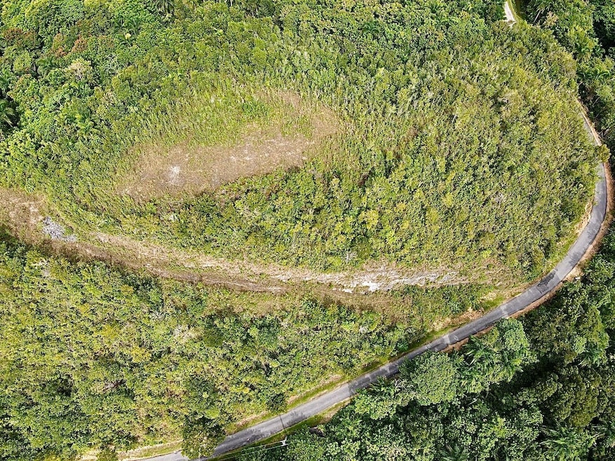 PR-446 Km 7 5, Isabela, PR 00662 - photo 1