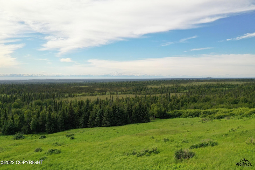 Alaskan Wildwood Ranch(r) P2 (15)