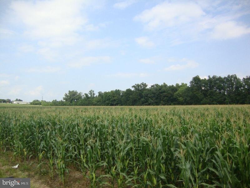 0 Shakespeare Rd unit 1005911839, Northumberland, PA 17847 - photo 1