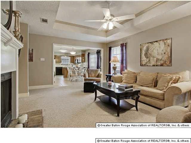 Living/Fireplace
