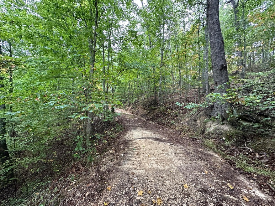 Trail