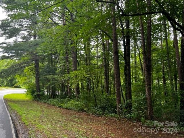 0 Laura Trace unit 1 CAR4127374, Hendersonville, NC 28792 - photo 1