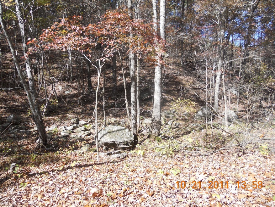 DSCN2216