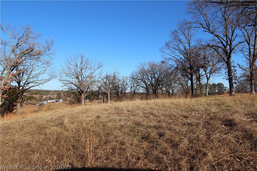 314 & 318 Stone Mountain Loop, Alma, AR 72921 - photo 1