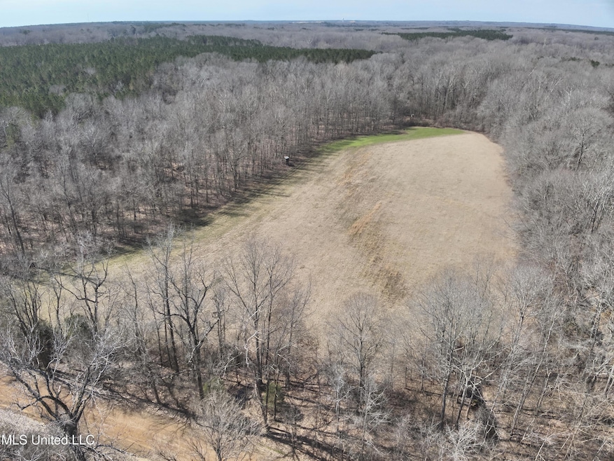 DJI_20250303113013_0003_V