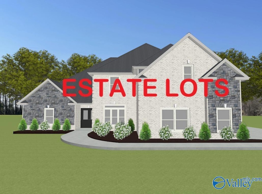 MountainBrook:B Newby Chapel Rd, Athens, AL 35613 - photo 1