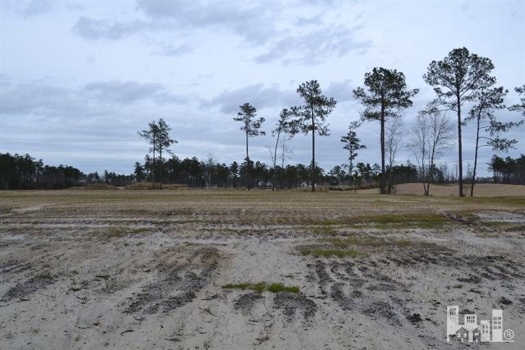 1304 Cross Water Cir, Leland, NC 28451 - photo 1