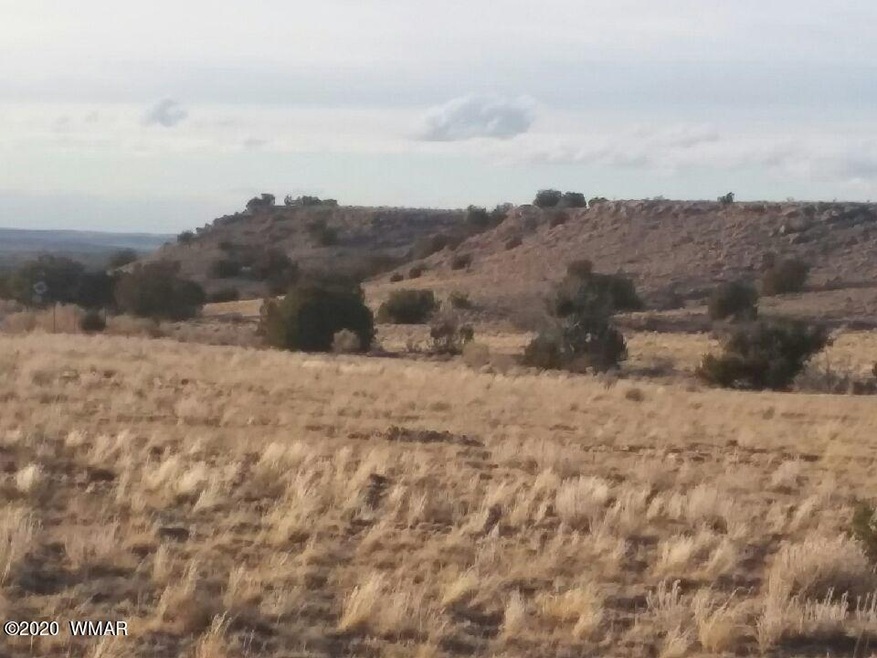 view of lot 138