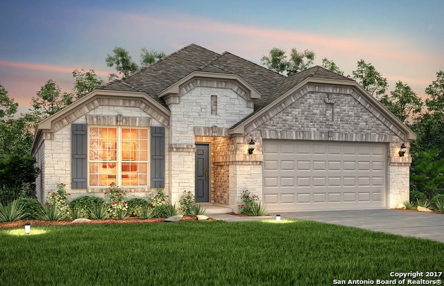 10813 Tansy Canyon, Helotes, TX 78023 - photo 1