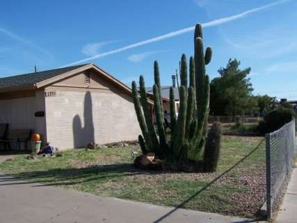 corner lot
