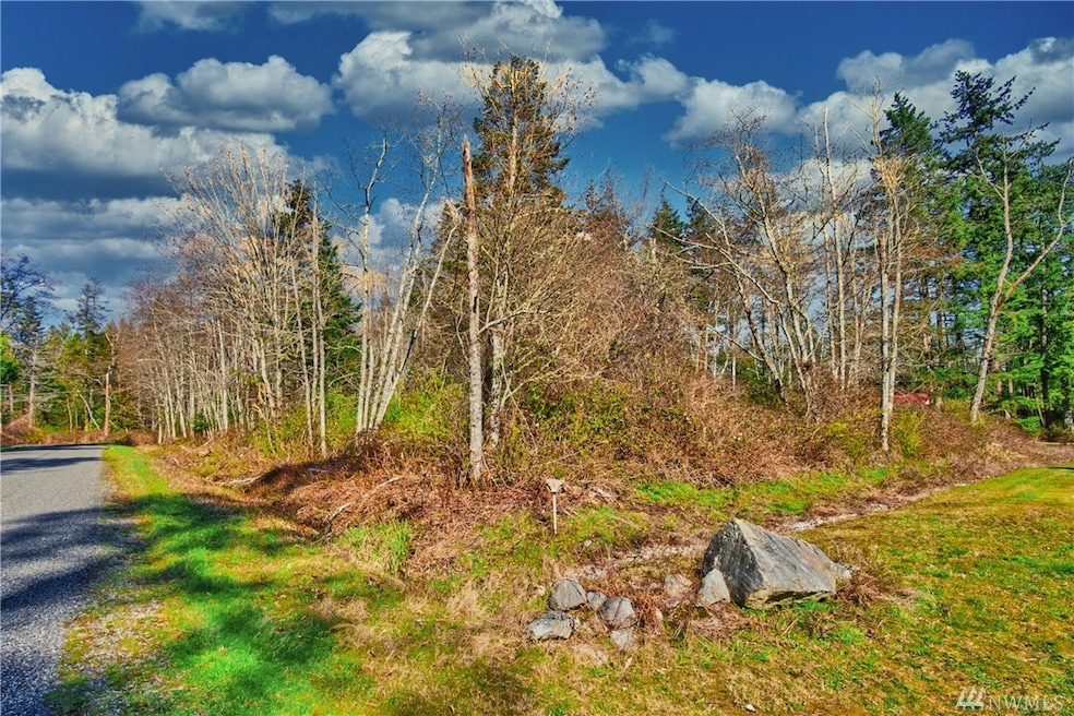 0 Massey Way unit 1595492, Point Roberts, WA 98281 - photo 1