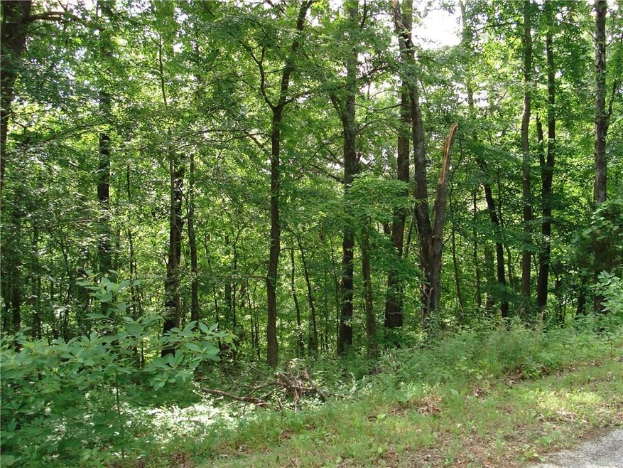 0 Stoke Ln unit 1049810, Bella Vista, AR 72714 - photo 1