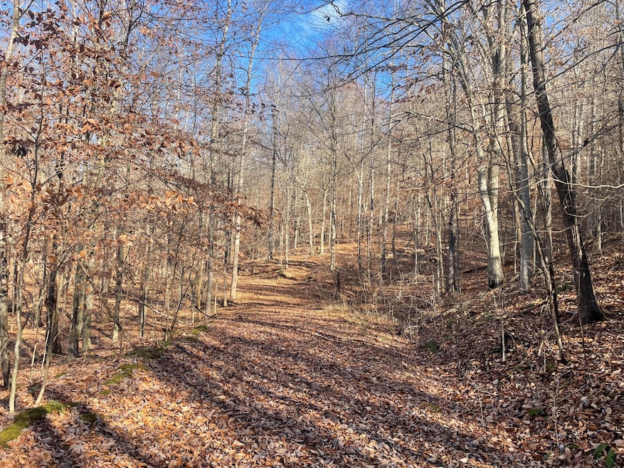 14645 Morehead Rd, Wallingford, KY 41093 - photo 1