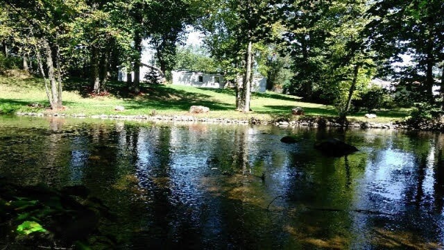 River view 1