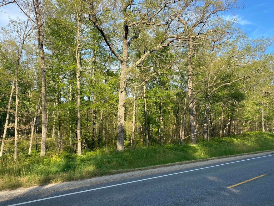 0 N Woodbridge Dr unit 22048039, Bitely, MI 49309 - photo 1