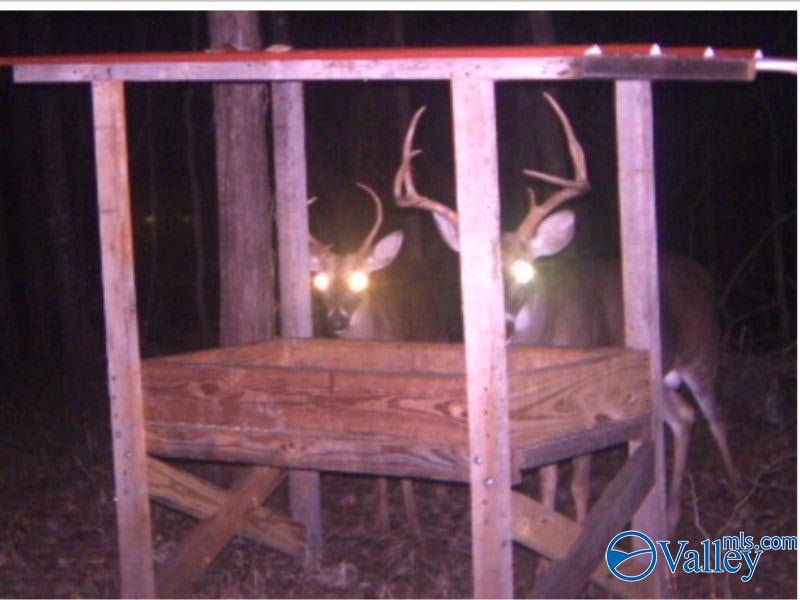 80 ACRES Upper Hurricane Rd, New Market, AL 35761 - photo 1