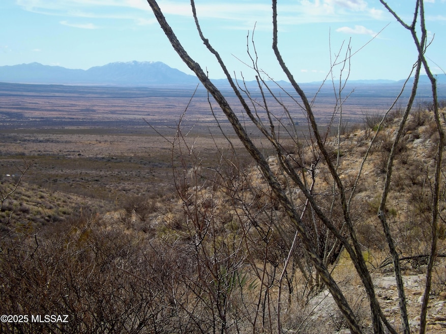 Red Mountain lot 1 06